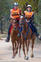 ScootBoot Classic (paar)