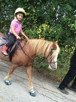 ScootBoot Classic (paar)