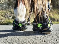 EXPLORA MAGIC (paar)