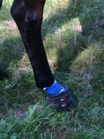 Cavallo Simple (paar)