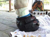 Cavallo Simple (paar)