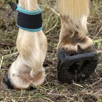 ScootBoot Skin Glue-On (paar)