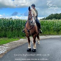 Cavallo Big Foot Boot (BFB)