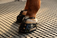 ScootBoot Enduro Adjust 