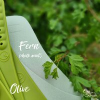 Olive &amp; Fern