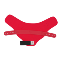 Neon Red (Winter Sunset)