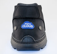 EasyBoot Cloud 