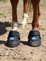 EasyBoot Cloud 