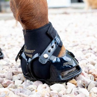 SCOOT BOOT  ENDURANCE GAITER