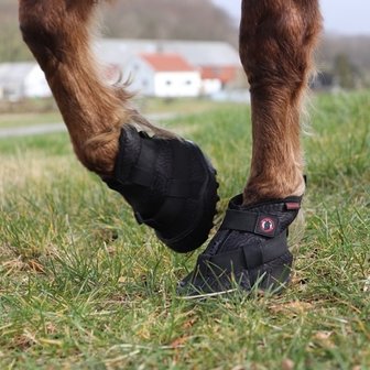 EQUINE FUSION RECOVERY