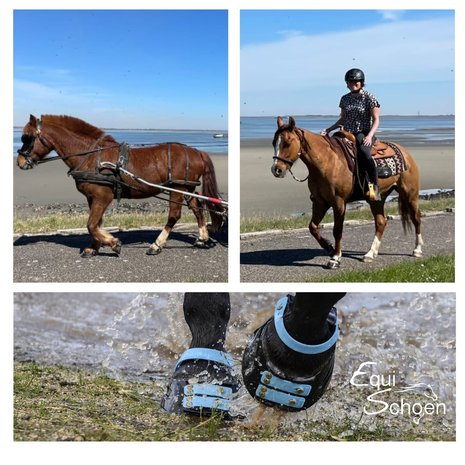 SCOOT BOOTS TEST / HUUR