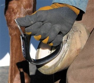 EVO BAR &amp; SOLE RASP (ZWART SR-2)