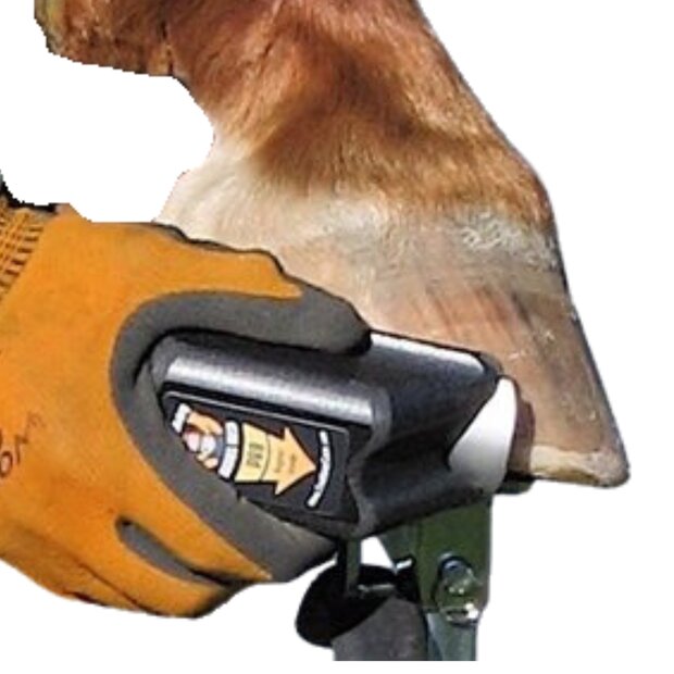 EVO RADIUS RASP (GROF RR-2)