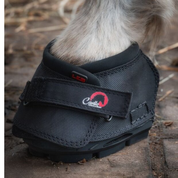 CAVALLO LEB TEST / HUUR