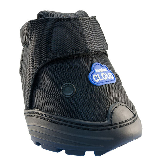 EasyBoot Cloud 