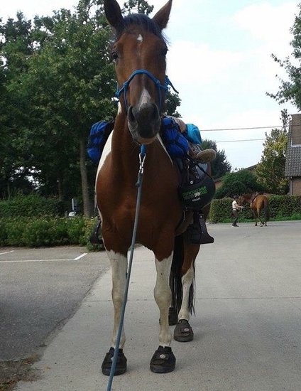 Cavallo Trek