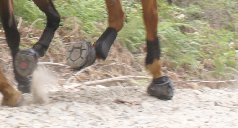 Cavallo Trek