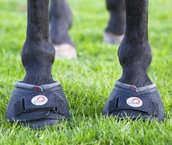 Cavallo Trek