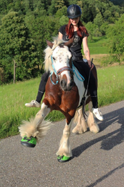 Cavallo Trek Green