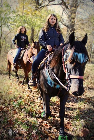 Cavallo Trek Green