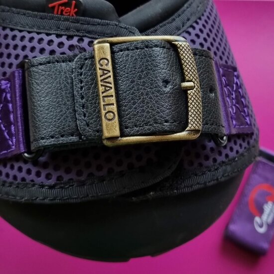 CAVALLO GESP TREK / BFB