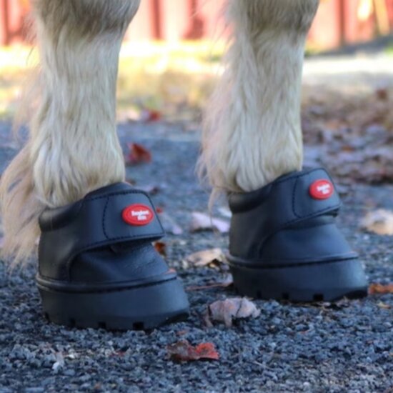 EASYBOOT MINI TEST / HUUR