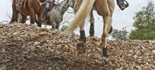 Cavallo Trek