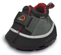 Cavallo Transport Air