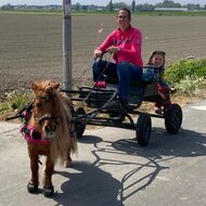 Cavallo CLB (paar)