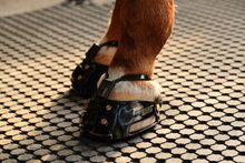 ScootBoot Enduro Adjust 