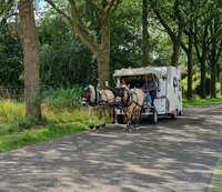 Familie Martens (BE & NL)