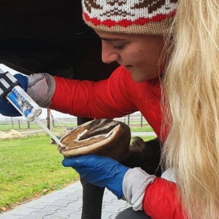 (Hoef)verzorging & Gereedschap