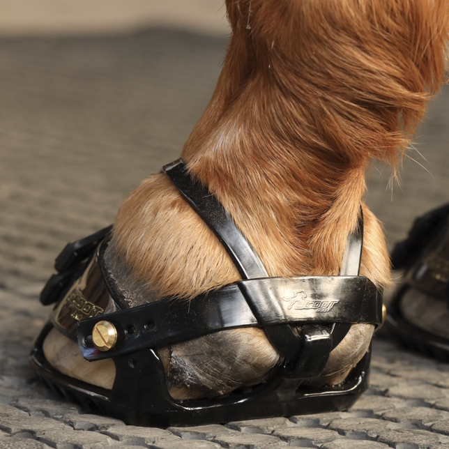 Hoefschoenen passen, hoe doe je dat?